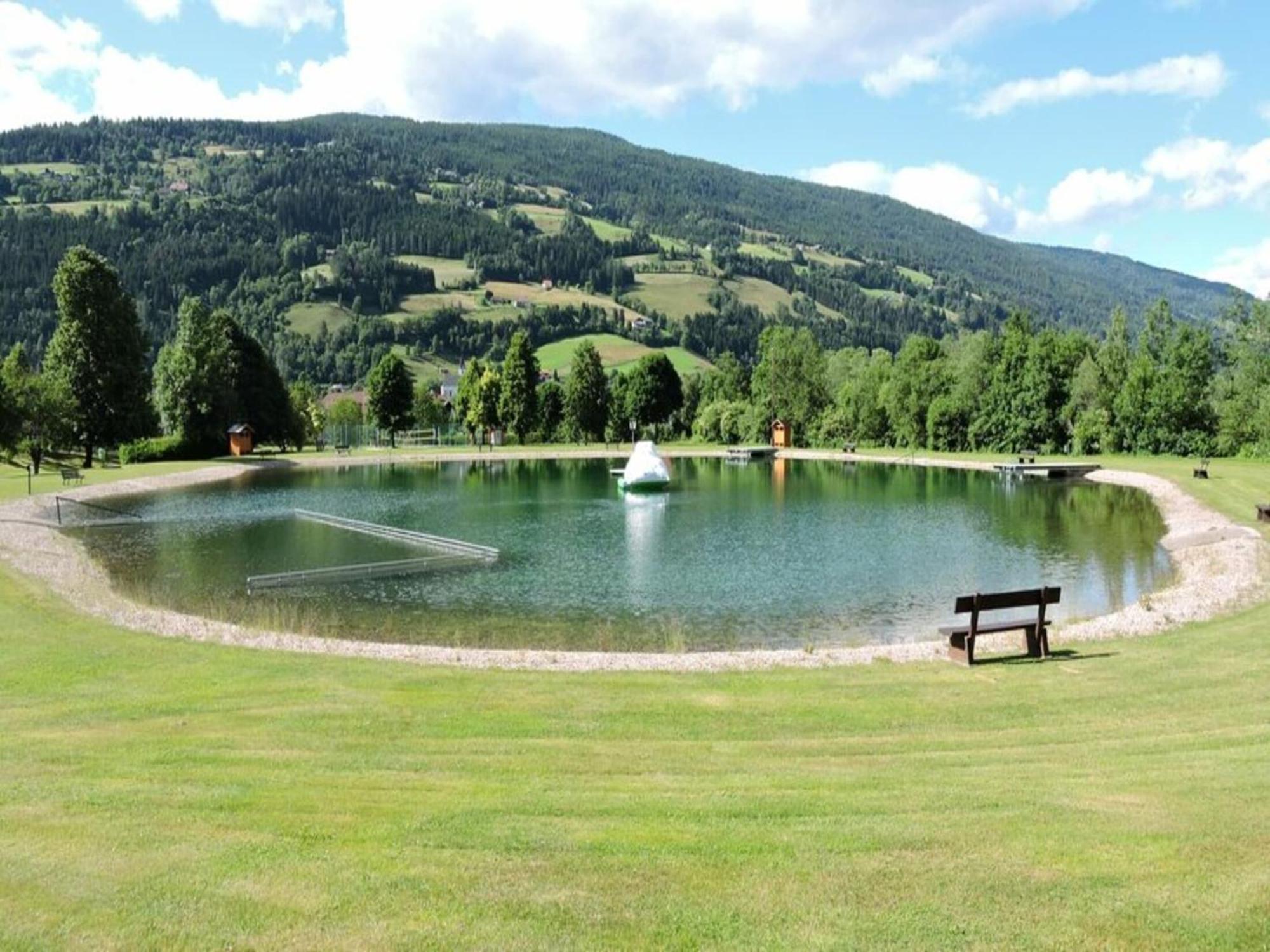 Chalet In Stadl An Der Mur Styria With Terrace Exterior photo